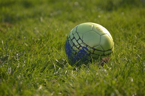 Free Images Grass Sport Lawn Meadow Play Green Football Sports
