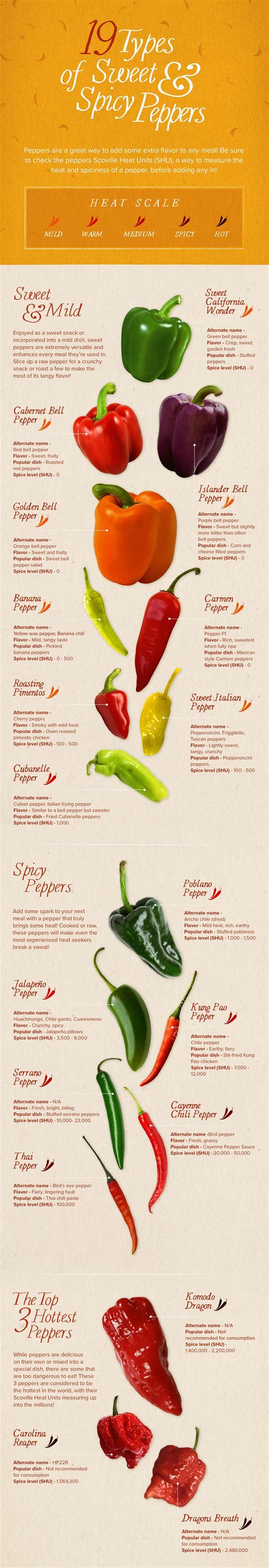 types of peppers chart