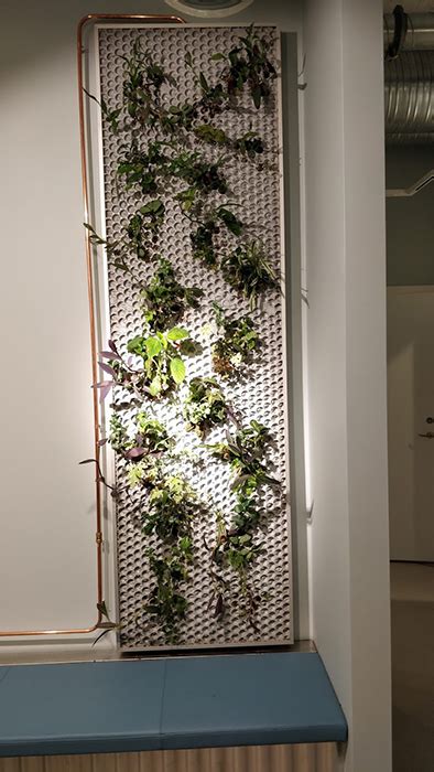 Transparent Concrete And Vertical Gardens Butong