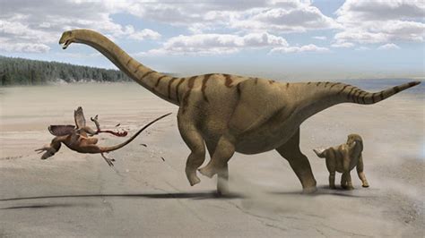 How Dinosaurs Grew The Worlds Longest Necks Fox News