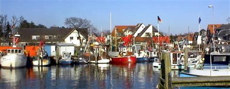 Sie wollen ein haus in niendorf kaufen? Haus Regina in Niendorf an der Ostsee - Umgebung