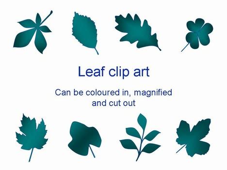 early play templates leaf templates