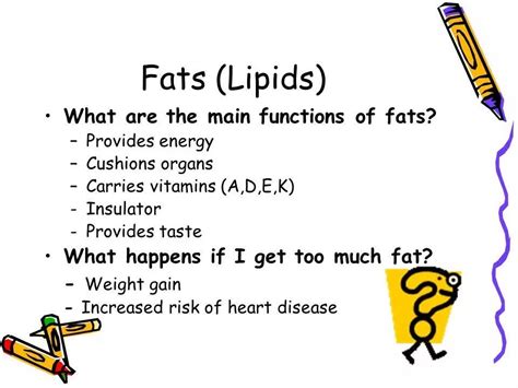 Which Of The Following Are Functions Of Lipids