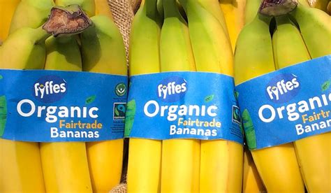 fyffes ireland introduces new reduced packaging banana band fyffes