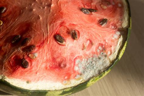 Rotten Watermelon Pic Stock Photos Pictures And Royalty Free Images Istock