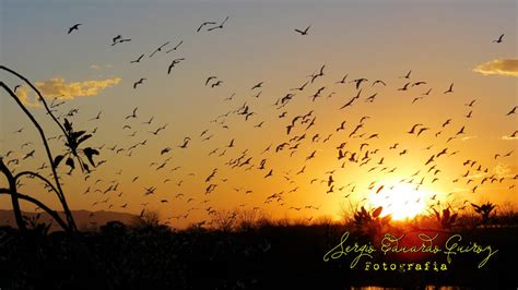 Atardecer En San Pedro Coahuila Mexico By Sergioeduardoquiroz On Deviantart