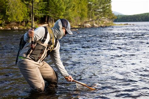 Best Places To Winter Fly Fish In The Us Unique Fish Photo