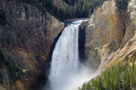 Yellowstone National Park Private Wildlife Tours