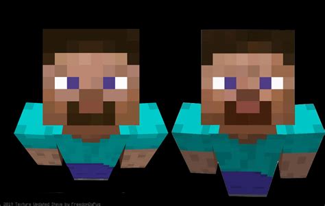 Download Minecraft Steve Dual Portraits