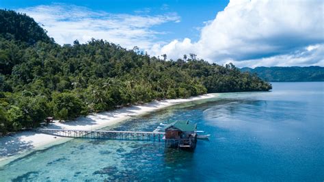 Raja Ampat Resort Facilities The Best Eco Beach Resort In Indonesia