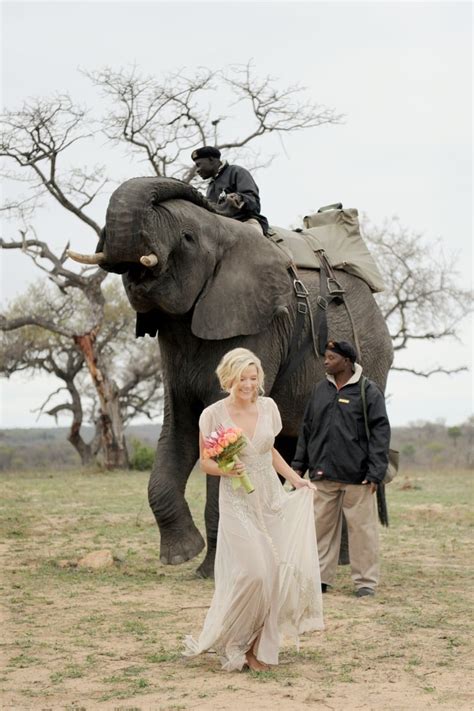 South African Safari Wedding With Elephants Popsugar Love And Sex Photo 22