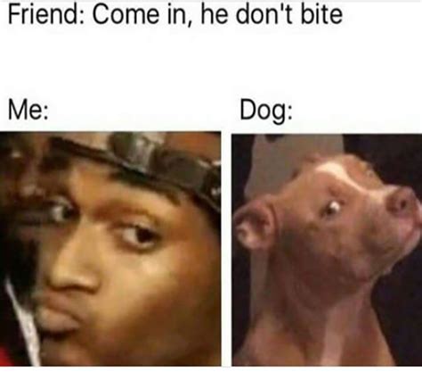 23 Super Funny Memes For Your Daily Dose Of Positivity