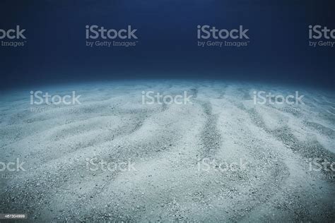 Ocean Floors And More The Floors