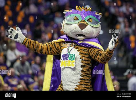 February 3 2023 The Lsu Mascot Mike The Tiger Dresses In His Mardi