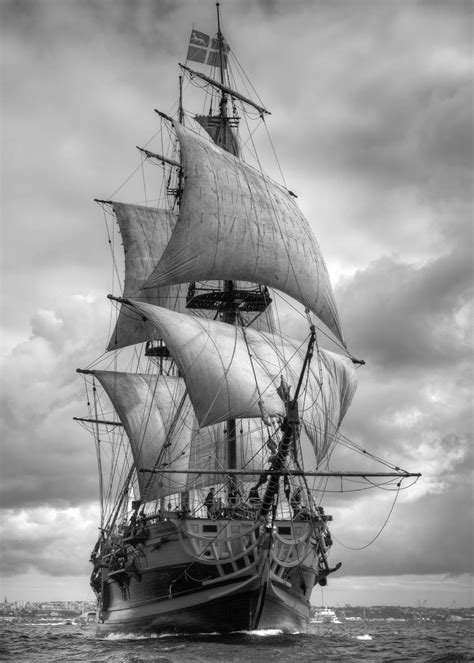 Hanse Sail Old Sailing Ships Sailing Boat Sailing Vessel Galleon