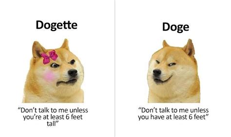 Pin By Brainlet On Doge Cheems Anime Memes Memes Humorous