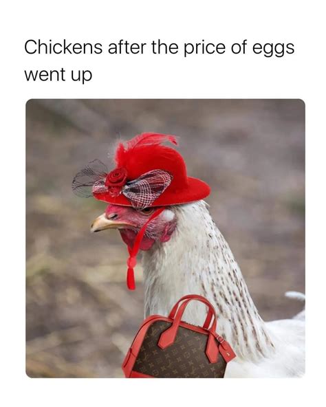 Egg Shortage Meme Egg Shortage 2023 High Egg Prices Know Your Meme