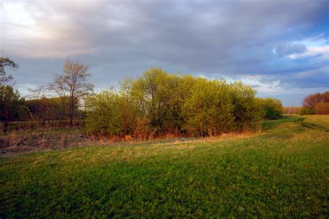 Free photo: meadow at sunset - Yellow, Nature, Weather - Free Download