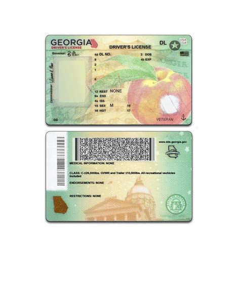 new editable georgia driver license blank template copy 16655839 Stock