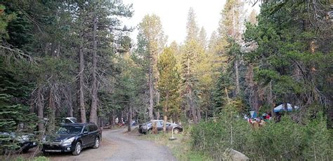 Lodgepole Group Lake Alpine Campground Reviews Bear Valley Ca