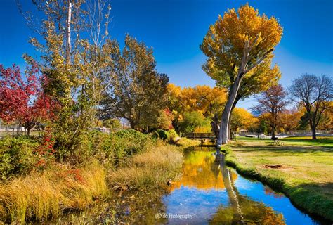 Fall Colors Bishop Ca Focalworld Inspiring The Next Generation