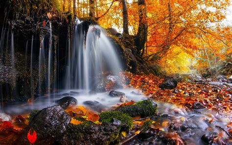 Nature Landscape Waterfall Trees Leaves Fall Moss Romania