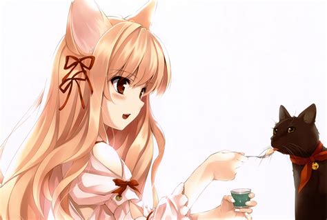 Cute Catgirl Feeding A Cat Gato De Anime Orelhas De Gato Anime