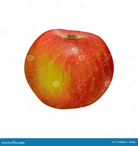 Red Apple Isolated On White Background Draw Stock Illustration