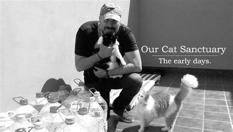 Our Story Change One Life Cat Sanctuary