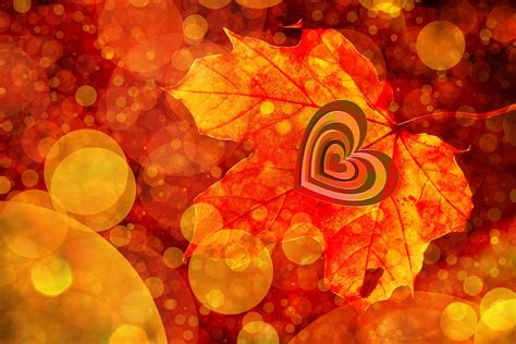 Song (reason) lyrics autumn in my heart vid! Bokeh Leaf Heart · Free photo on Pixabay