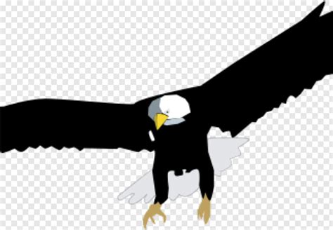 Bald Eagle Bald Head Eagle Silhouette American Eagle Bald Eagle Head Eagle Globe And Anchor