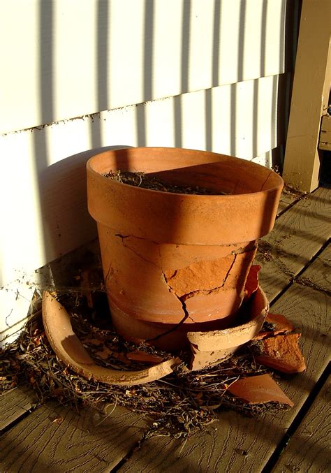 Smashed Flower Pot