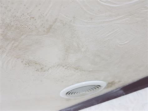 It's all about getting the moist air out, drying out the room. How to Clean Mold on Painted Walls and Ceiling | ThriftyFun