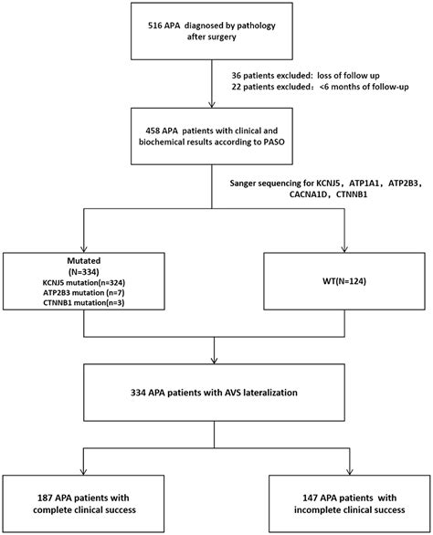 kcnj5 mutation contributes to complete clinical success in aldosterone producing adenoma a