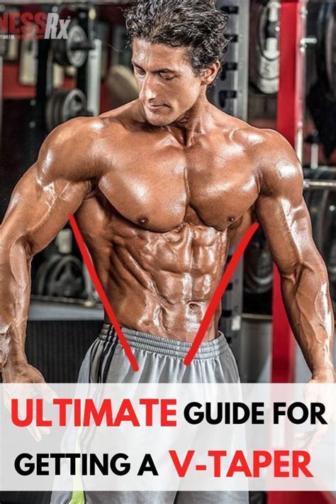 💪ultimate Guide To Getting A V Taper💪 Workout Routine Gym Workouts For Men Popular Workouts