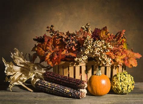 Autumn Still Life With Pumpkins And Flowers Stock Image Image Of