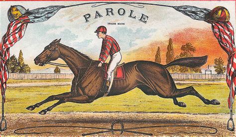 Parole Vintage American Racehorse Painting By Vintage Horse Racing Art