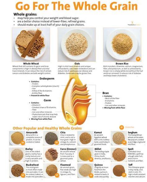 Whole grains whole grains vs whole wheat can not be the same thing since this provides the other difference that will be explained further. Go For the Whole Grain Poster | $ 16.99 | Nutrition ...