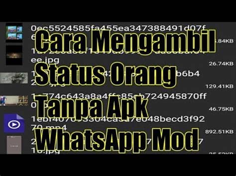 Salah aplikasi pesan singkat yang kerap digunakan adalah whatsapp. Cara Mengambil Status Orang Tanpa Aplikasi WhatsApp Mod ...