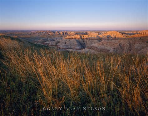 Prairie Grass Over The Badlands Badlands National Park South Dakota