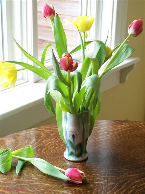 Attractive Still Life Vase Of Flowers Decorative Vase Ideas