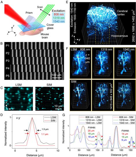 Light Sheet Microscopy With Structured Illumination In The