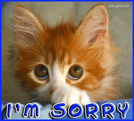 So, saying sorry is a big deal. I'm sorry - Images and Messages