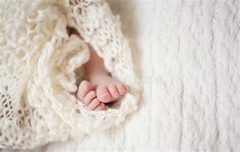 Newborn Baby Feet Newborn Child Baby Legs In Knitted Blanket Stock