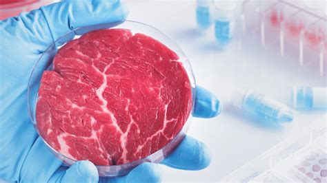 Worlds First Cultured Meat Production Facility Opens In Israel