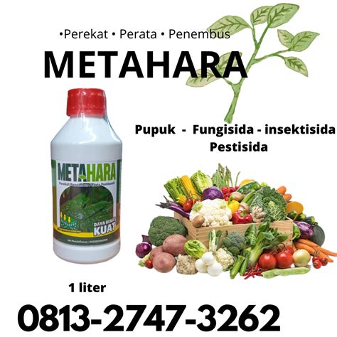 Anti Layu 081327473262 Supplier Perekat Dan Perata Pestisida Ngasem