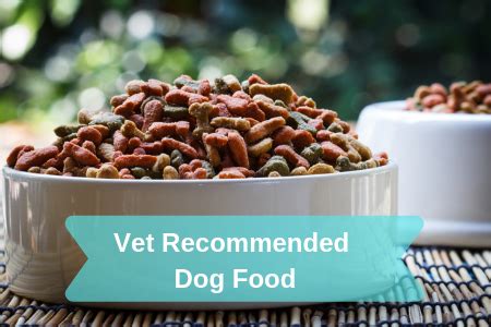 Shop royal canin, purina, iams and more. Vet Recommended Dog Food - 2019 | Therapy Pet
