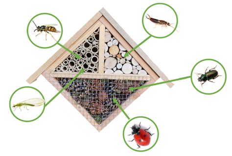 Comment Réaliser Un Hôtel à Insectes Latelier Par Brico Privé