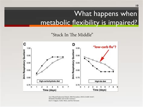 Possible causes, signs and symptoms, standard treatment options and means of care and support. From Ketosis to Keto-Adaptation - The 3 Stages of the