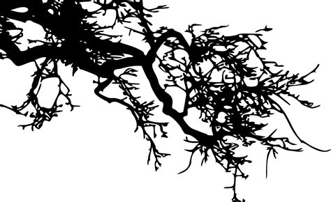 Download Tree Branch Silhouette Png Download Art Full Size Png